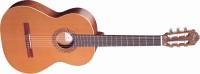 Gitarre 200