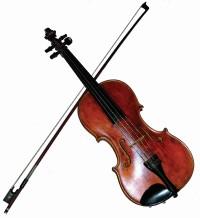 Violine 200